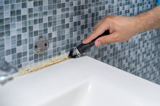 Best Toxic Mold Removal  in Shelbina, MO