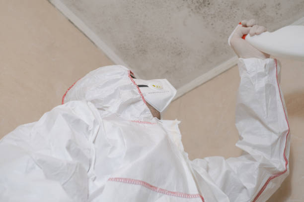 Best Certified Mold Removal  in Shelbina, MO